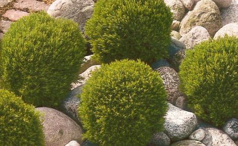 beolvasas0040.jpg beolvasas0040.jpg