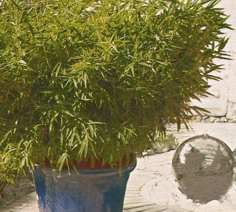 beolvasas0042.jpg beolvasas0042.jpg